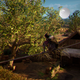 Image for article titled Assassin’s Creed Valhalla’s Glitch Kept Making Eivor Drunk, And Then It Got Weirder